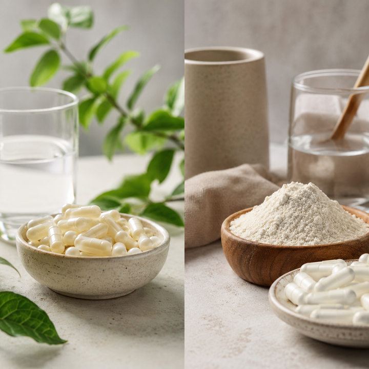 Live vs Pasteurised Akkermansia: Which Should You Choose?