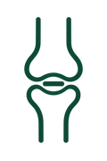 Joint &amp; Mobility