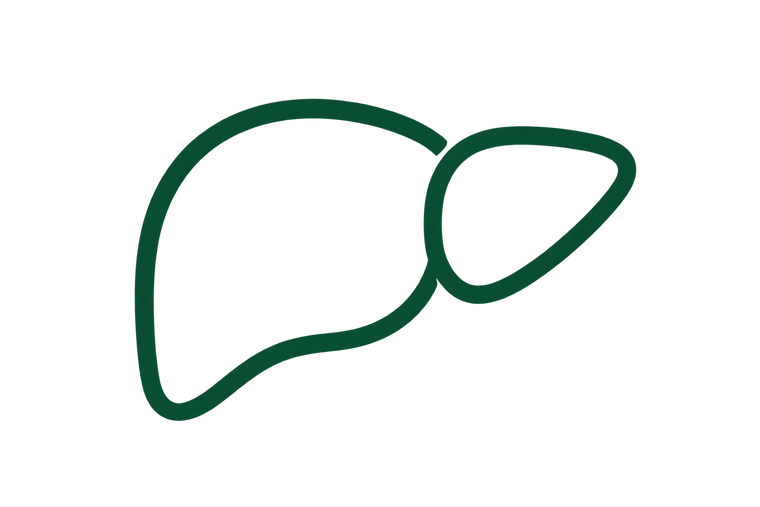 Liver Wellness