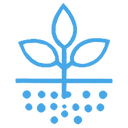 微生物组网络图标