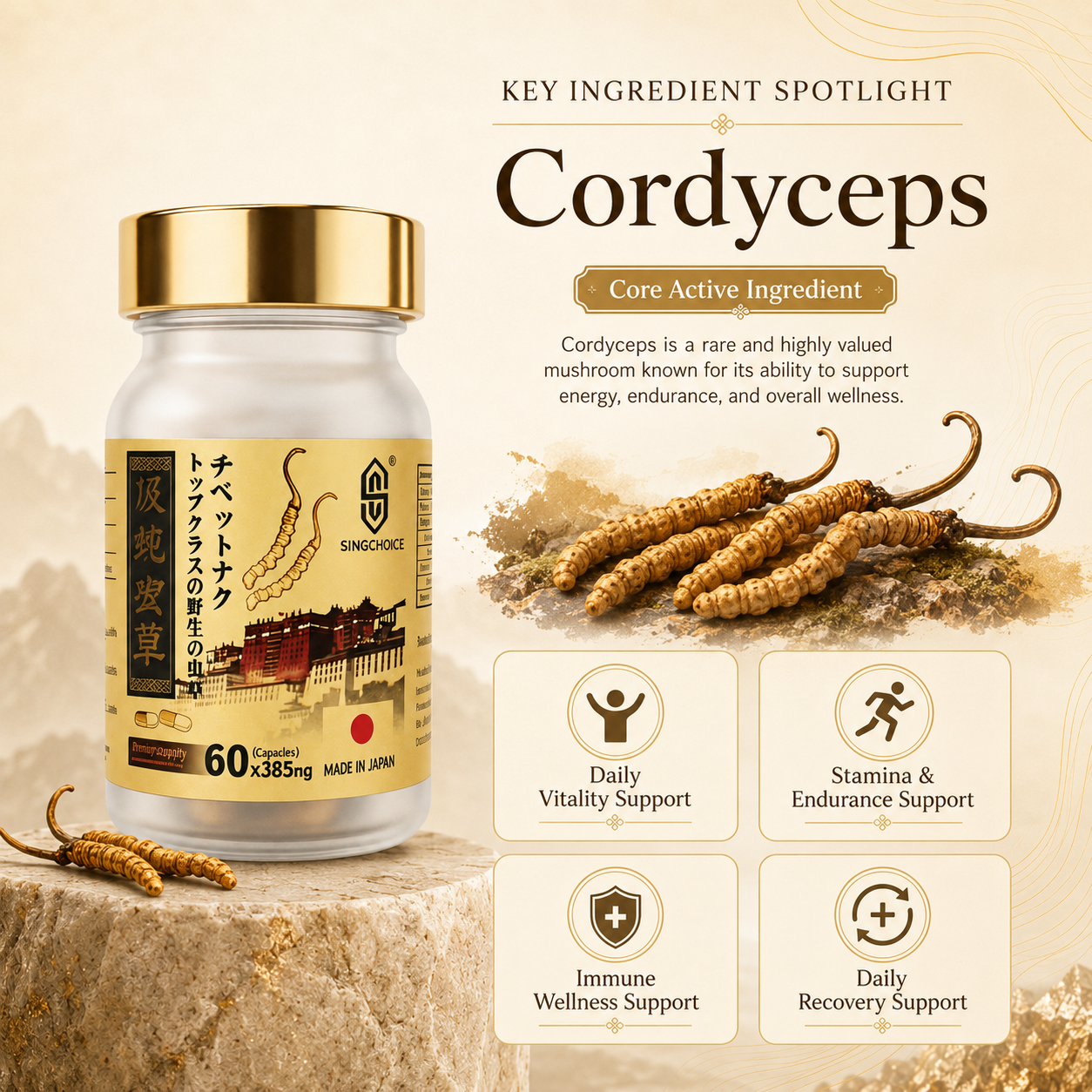 Cordyceps Sinensis Extract