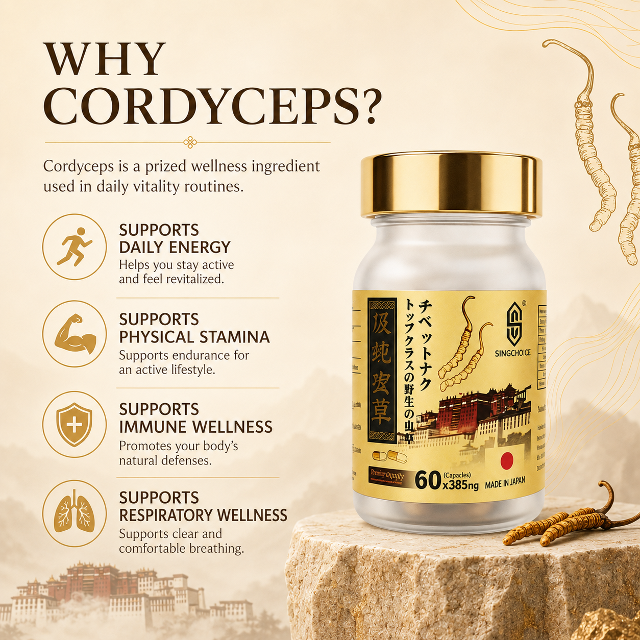 Cordyceps Sinensis Extract