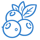 Polyphenol foods icon