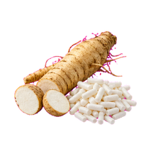 Inulin ingredient illustration