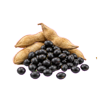blood black soybean powder clean