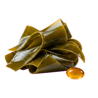 blood kelp extract clean