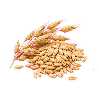 blood oat extract clean
