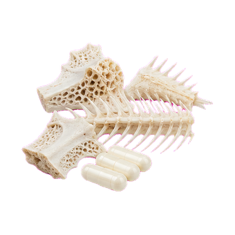 collagen fish bone powder clean