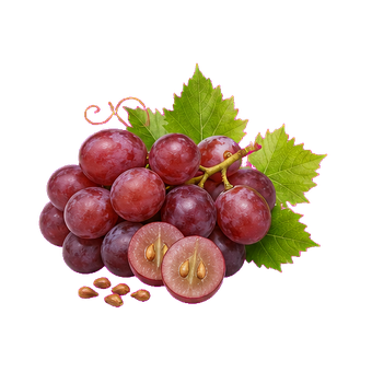 collagen grape seed extract clean
