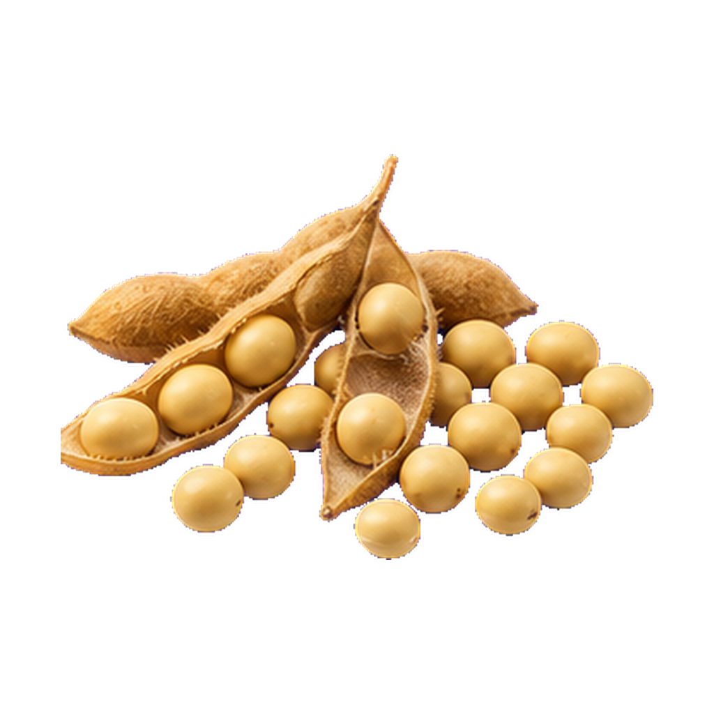 Soy Isoflavones