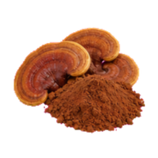 Wild Reishi Mushroom Extract