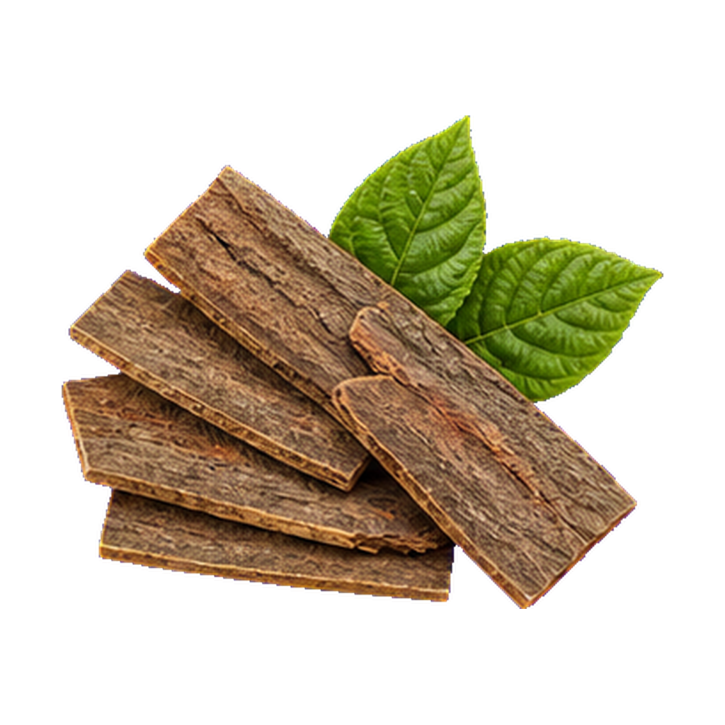 Eucommia Extract