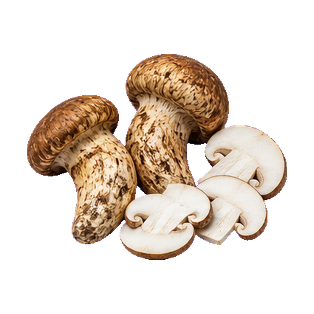 Matsutake Mushroom Powder