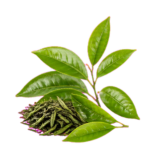propolis green tea extract clean