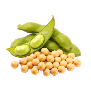 propolis soybean extract clean