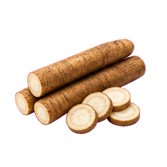 uric burdock root powder clean