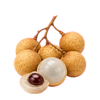 uric longan fruit extract clean